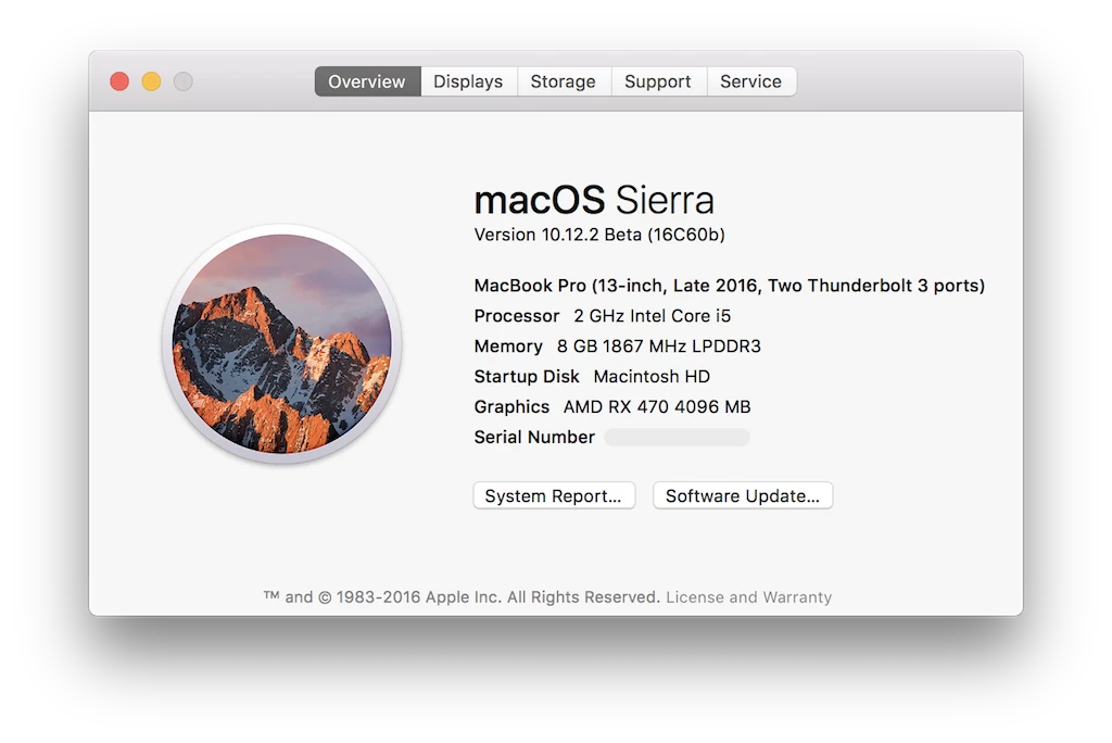 RX 470 Thunderbolt 3 eGPU showing in macOS System Info
